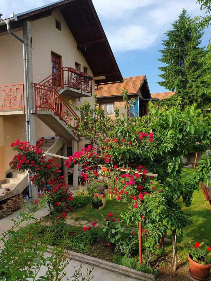 Apartment Kantarije Sarajevo Bagian luar foto